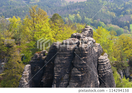 Beautiful summer view of Elbe river from Bastei view pont. Colorful morning scene of Saxon Switzerland national park, Germany, Europe. 114294138