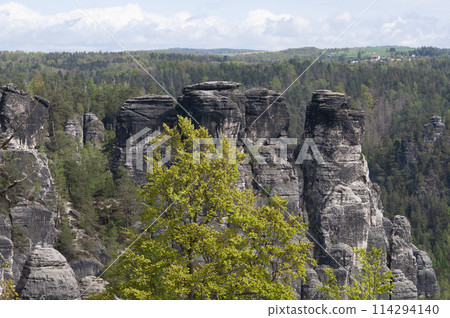 Beautiful summer view of Elbe river from Bastei view pont. Colorful morning scene of Saxon Switzerland national park, Germany, Europe. 114294140