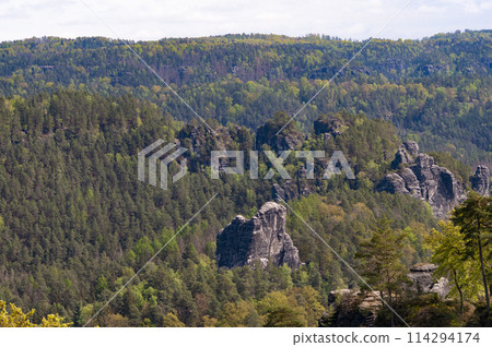 Beautiful summer view of Elbe river from Bastei view pont. Colorful morning scene of Saxon Switzerland national park, Germany, Europe. 114294174