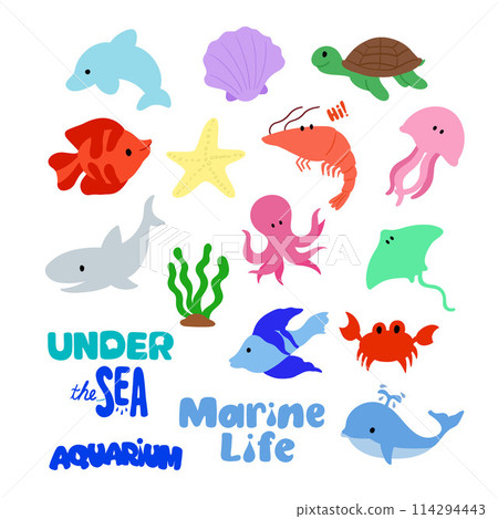 Hand drawn sea lives such as shark, whale, dolphin, stingray, jellyfish, starfish, shrimp, crab, turtle, pearl shell, octopus, coral reef for marine lives, under the sea, aquarium, animals, ocean 114294443