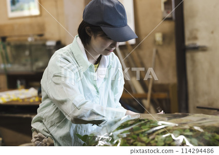 A woman shipping flowers A woman shipping flowers 114294486