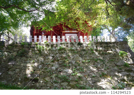 Amabiki Kannon 2023-9-3 #58 Amabiki Kannon 2023-9-3 #58 114294523