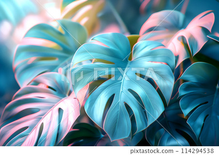 色彩鮮豔的雨林植物背景 114294538