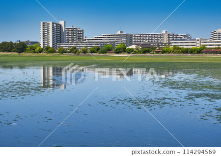 Yatsu tidal flat (Narashino City, Chiba Prefecture) Yatsu tidal flat (Narashino City, Chiba Prefecture) 114294569