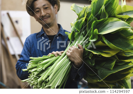 A flower grower preparing plants for shipping 114294597