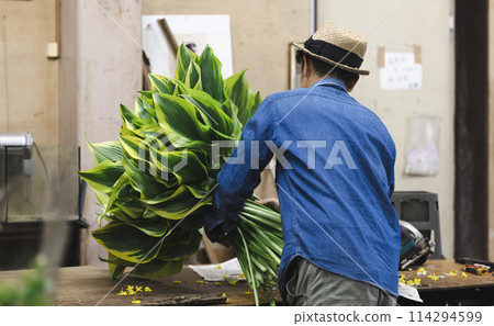 花卉生產商運送植物 114294599