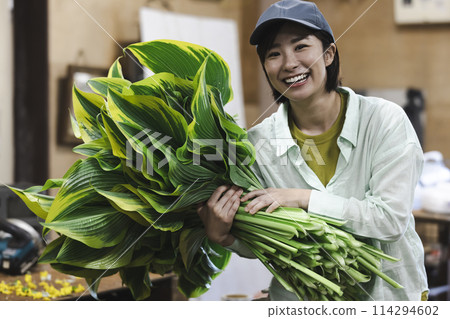 A woman shipping plants 114294602