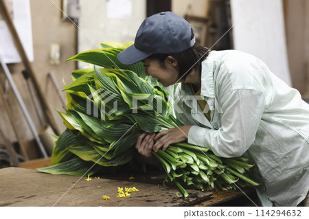 A woman shipping plants 114294632