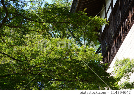 Amabiki Kannon 2023-9-3 #70 Amabiki Kannon 2023-9-3 #70 114294642
