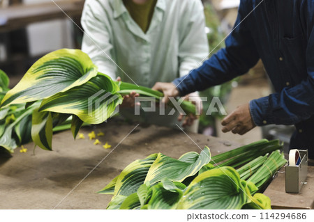 A floriculture worker preparing to ship plants A floriculture worker preparing to ship plants 114294686