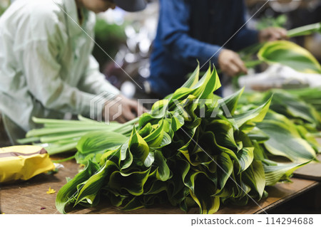 花農運送植物 114294688