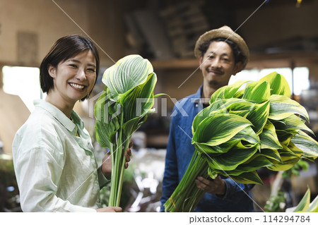 A flower grower preparing plants for shipping 114294784