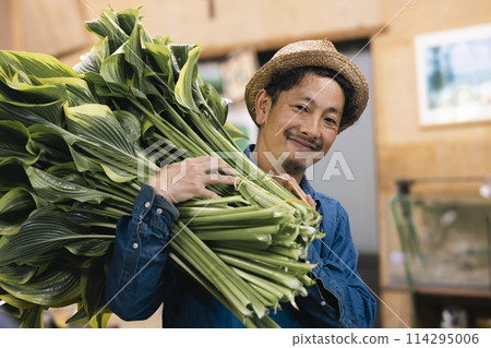 A flower grower preparing plants for shipping 114295006