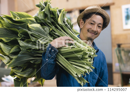 A flower grower preparing plants for shipping 114295007