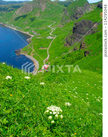 禮文島桃岩展望台路線景觀 114295048