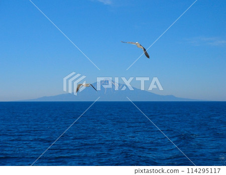 渡輪 禮文島 - 稚內（利尻島） 114295117