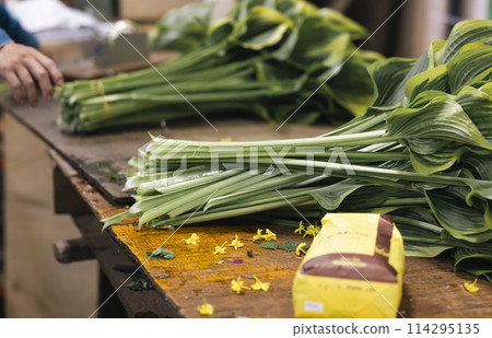 Shipment of plants 114295135