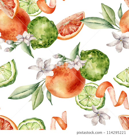 Jasmine flowers with citrus fruits grapefruit and bergamot watercolor seamless pattern isolated. Hand drawn summer plants orange and green colors in botanical sketch style for wrapping paper, textile Jasmine flowers with citrus fruits grapefruit and bergamot watercolor seamless pattern isolated. Hand drawn summer plants orange and green colors in botanical sketch style for wrapping paper, textile 114295221
