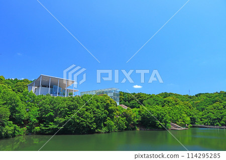 愛知縣岡崎市岡崎市美術館風景 114295285