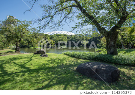 東京都文京區小石川後樂園 小石川 東京都文京區小石川後樂園 小石川 114295373