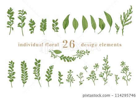 Set with leaves and greens. Vintage botanical illustration. Eucalyptus, eucalyte seeds, boxwood. Art line style. Green. 114295746