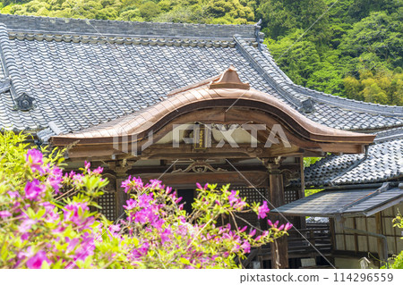 Hasedera Temple Fumon-in Fudo Hall Azalea in full bloom 114296559