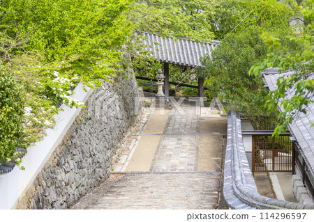 Hasedera Temple: Large balls in full bloom and stone steps leading to the temple Hasedera Temple: Large balls in full bloom and stone steps leading to the temple 114296597