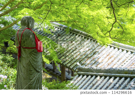 綠樹環繞的長谷寺石佛 114296616