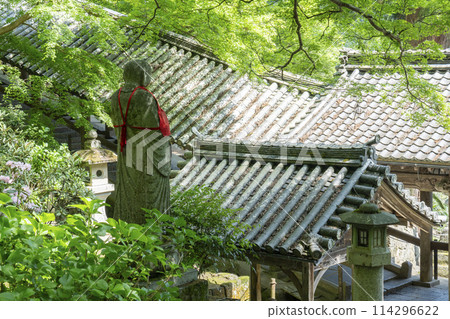 被新綠包圍的長谷寺綱屋 被新綠包圍的長谷寺綱屋 114296622