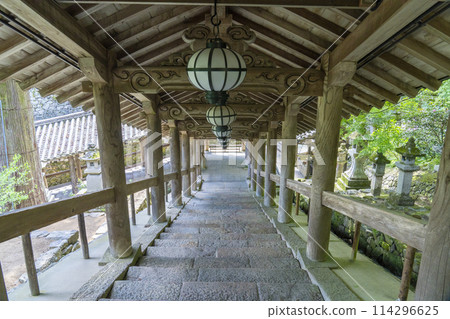 Hasedera Temple surrounded by fresh greenery Hasedera Temple surrounded by fresh greenery 114296625