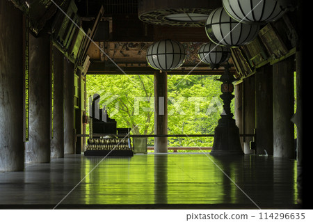 Hasedera Temple: Fresh green leaves dye the floor of the main hall. Hasedera Temple: Fresh green leaves dye the floor of the main hall. 114296635