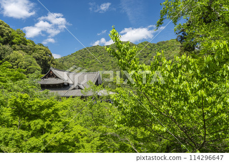 綠樹環繞的長谷寺本堂 114296647