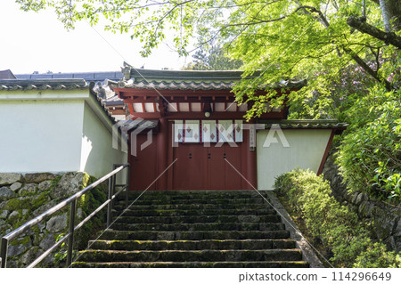 長谷寺本願院 石階頂端的紅色大門 長谷寺本願院 石階頂端的紅色大門 114296649