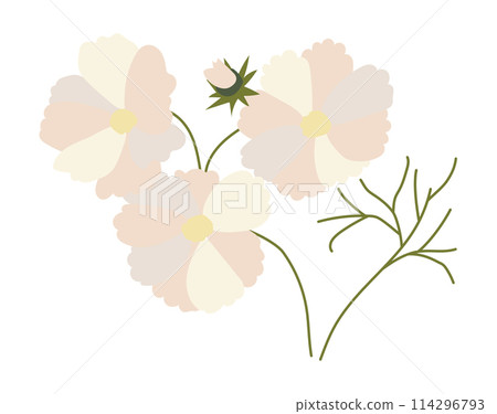 Abstract white daisies on twigs in flat design. Soft blooming blossoms. Vector illustration isolated. Abstract white daisies on twigs in flat design. Soft blooming blossoms. Vector illustration isolated. 114296793