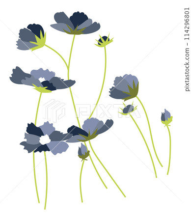 Abstract blue cosmos flowers on twigs in flat design. Blooming daisies. Vector illustration isolated. Abstract blue cosmos flowers on twigs in flat design. Blooming daisies. Vector illustration isolated. 114296801