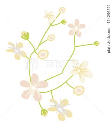 White gentle cosmos flowers on twig in flat design. Blooming bouquet. Vector illustration isolated. 114296821