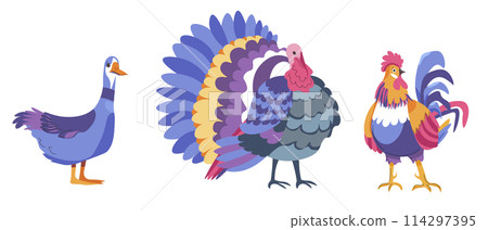 Colorful Farm Birds Vector Set Colorful Farm Birds Vector Set 114297395