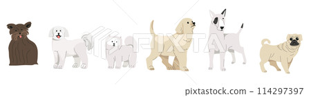 Various Small Breed Dogs Collection Various Small Breed Dogs Collection 114297397