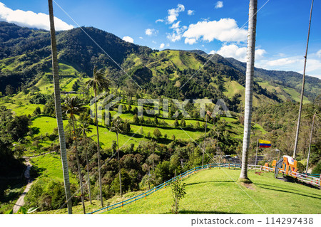 Nature landscape of tall wax palm trees in Valle del Cocora Valley. Salento, Quindio department. Colombia mountains landscape. 114297438