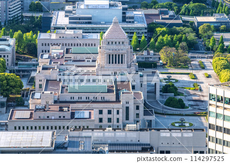 日本東京城市景觀，俯瞰國會議事堂等 114297525
