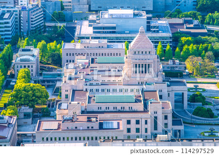 日本東京城市景觀,俯瞰國會議事堂等 日本東京城市景觀,俯瞰國會議事堂等 114297529
