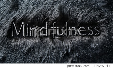 Black Fur Mindfulness concept art poster. 114297917