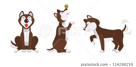 Husky Dog Activities Cute Illustration 114298259