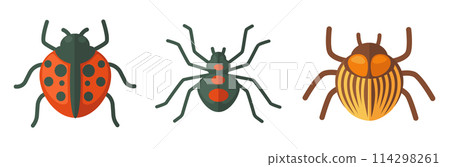 Cute Ladybugs and Beetles Collection Cute Ladybugs and Beetles Collection 114298261