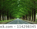 道路周圍美麗的鬱鬱蔥蔥的水杉樹 114298345