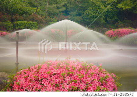 有杜鵑花和噴泉的景觀 有杜鵑花和噴泉的景觀 114298575