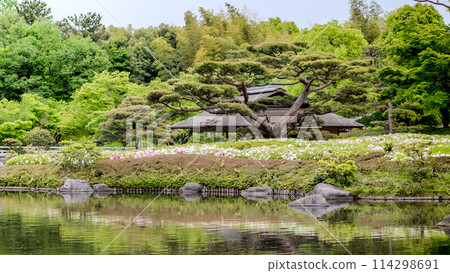 Scenery of a Japanese garden and an old house Scenery of a Japanese garden and an old house 114298691