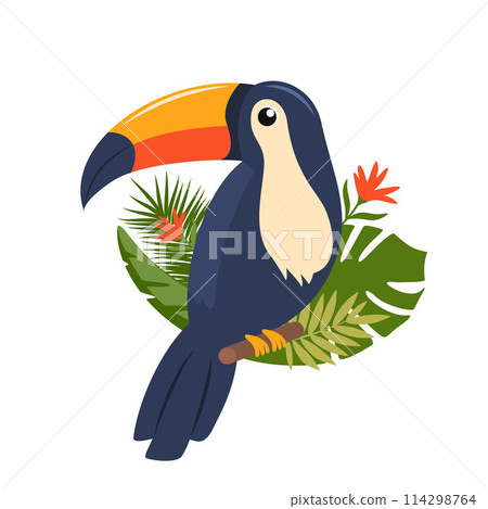 Toucan, exotic birds, tropical flowers, palm leaves, jungle leaves, bird of paradise. 114298764