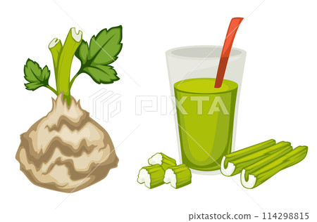 Vector Celery Root Juice Illustration Vector Celery Root Juice Illustration 114298815