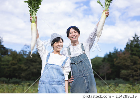 男人和女人在田裡收穫蔬菜 114299139